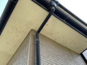 雨漏り修理、外壁・屋根塗装のスタッフブログ