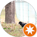 ツチノコ（ツチノコちゃん） profile picture