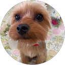 小島真名美 profile picture