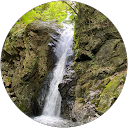 Yellow Banana (ひまわりウインカー) profile picture