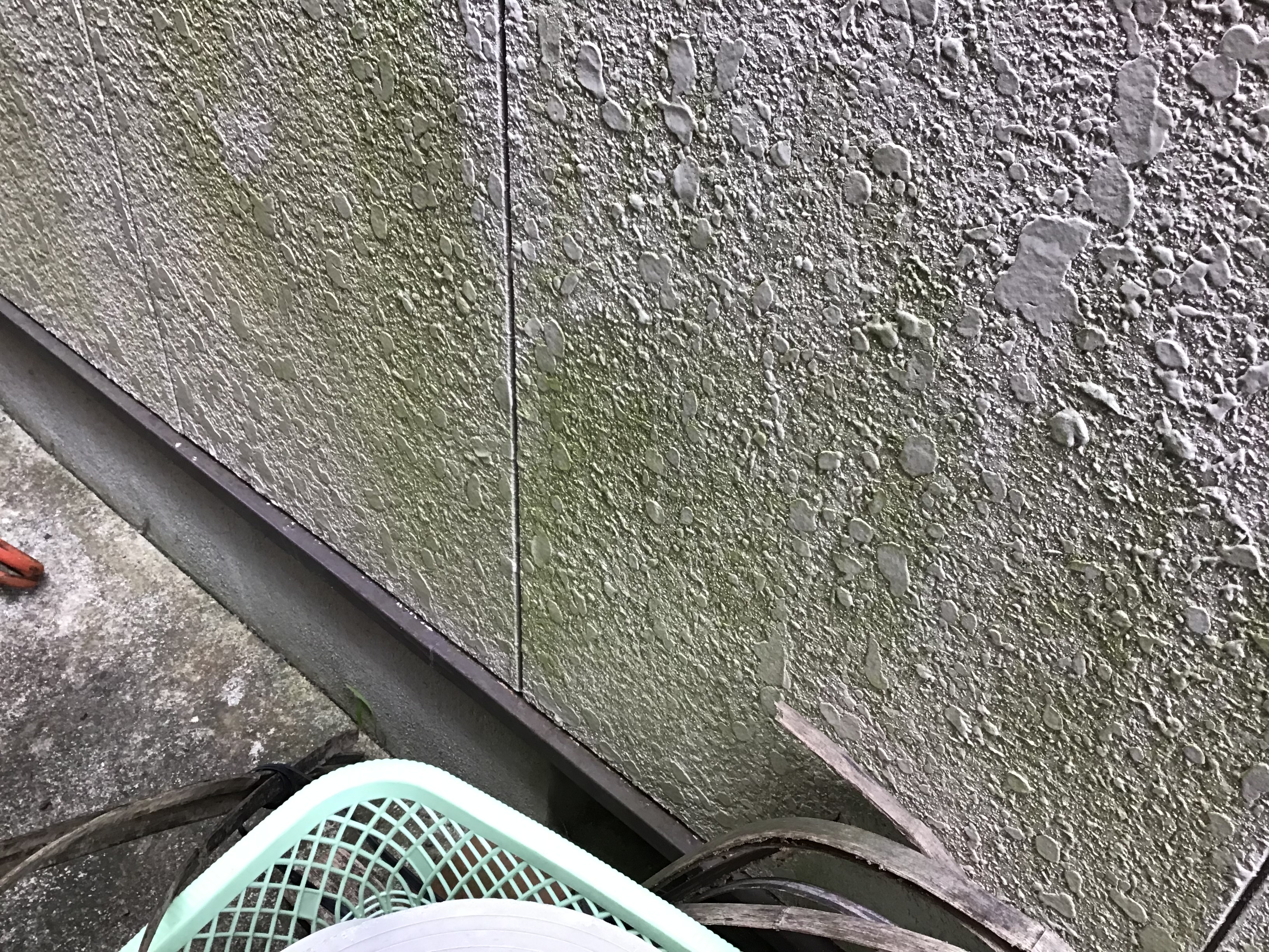 外壁劣化症状：苔