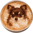すず profile picture
