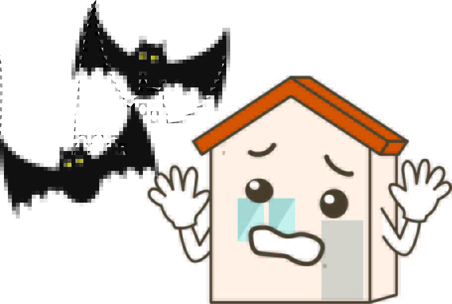 コウモリ被害