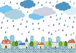 雨