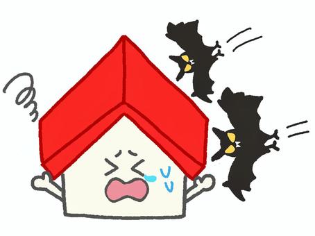 害獣被害