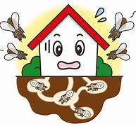 外壁塗装　屋根