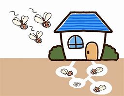 外壁塗装　屋根