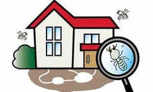 外壁塗装　屋根