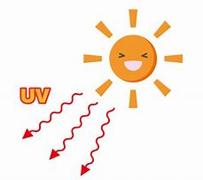 紫外線により色あせ